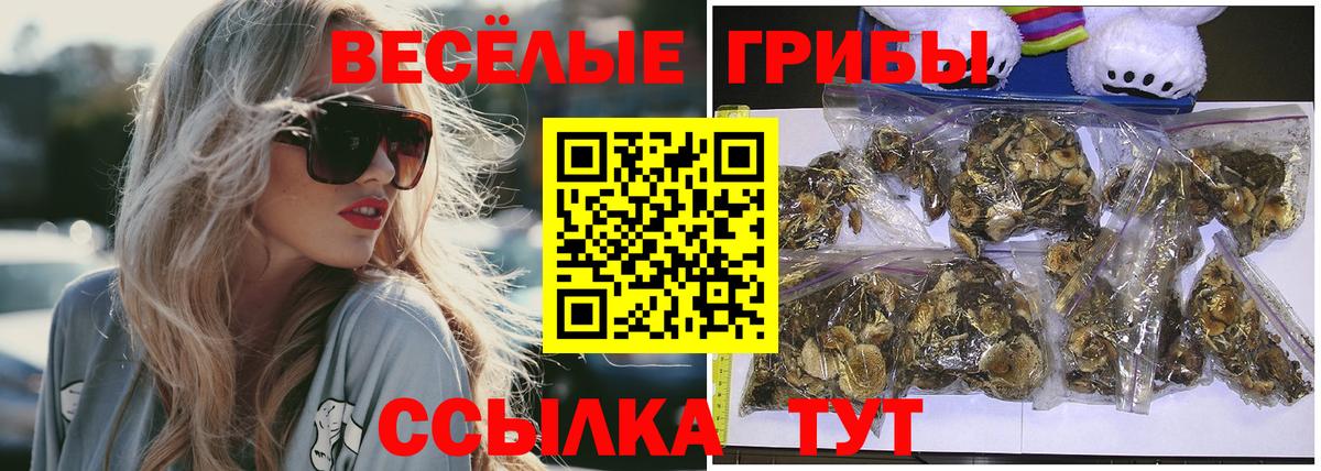 Псилоцибиновые грибы мицелий Жигулёвск