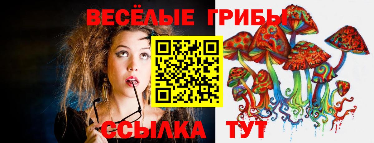 Жигулёвск  магазин продажи   Вход с VPN  Псилоцибиновые грибы Psilocybe 